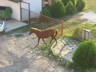 Bulharsko