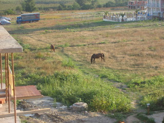 Bulharsko