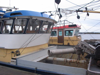 Irsko