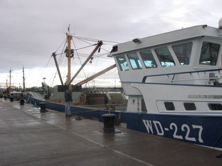 Irsko
