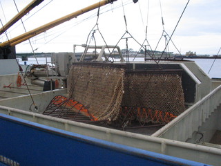 Irsko