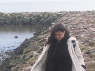 Irsko
