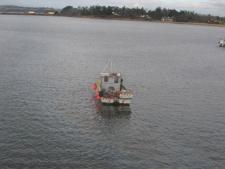 Irsko