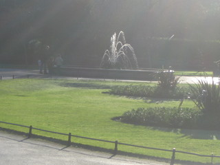 Irsko