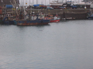 Irsko