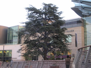 Irsko