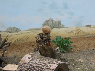 ZOO 2006