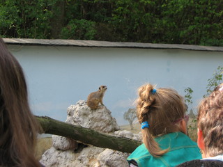 ZOO 2006