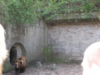 ZOO 2006