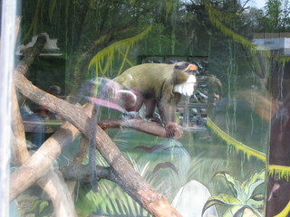 ZOO 2006