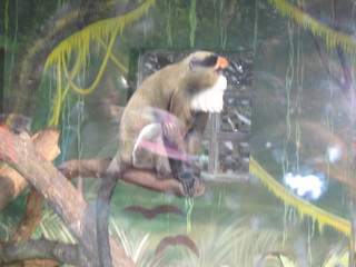 ZOO 2006
