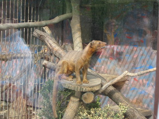ZOO 2006