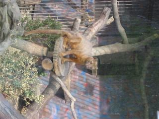 ZOO 2006