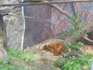 ZOO 2006