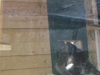 ZOO 2006