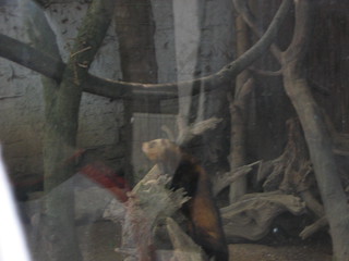 ZOO 2006