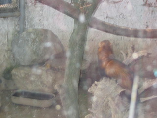 ZOO 2006