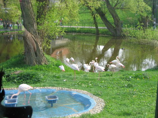 ZOO 2006