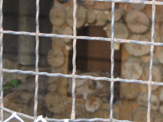 ZOO 2006