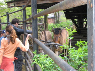 ZOO 2006