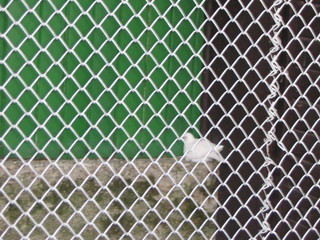 ZOO 2006