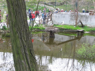 ZOO 2006