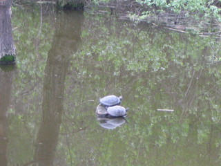 ZOO 2006
