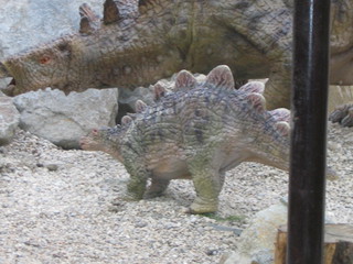 ZOO 2006