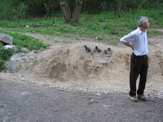 ZOO 2006