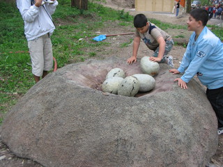 ZOO 2006
