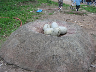ZOO 2006