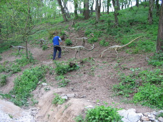 ZOO 2006