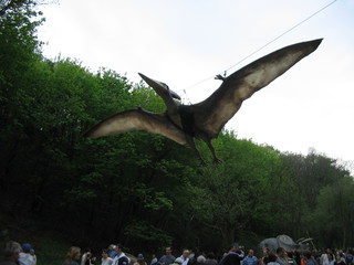 ZOO 2006