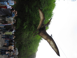 ZOO 2006