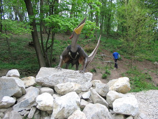 ZOO 2006