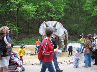 ZOO 2006