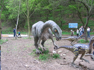 ZOO 2006