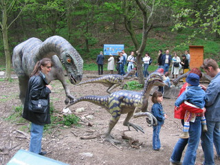 ZOO 2006