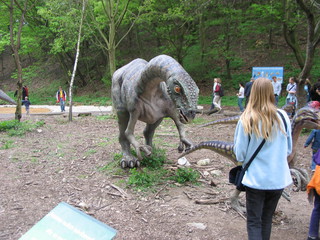 ZOO 2006
