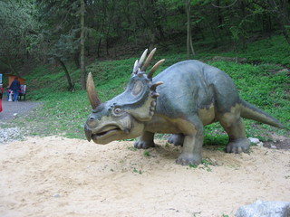 ZOO 2006
