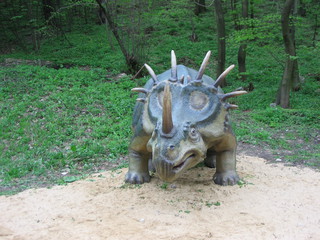 ZOO 2006