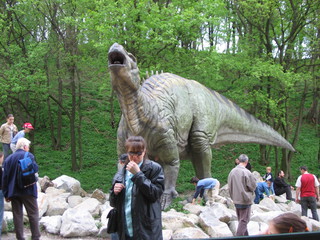 ZOO 2006