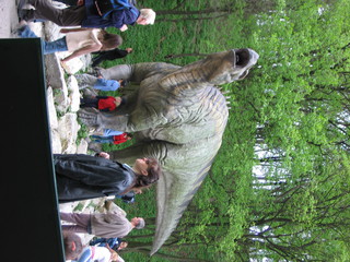 ZOO 2006