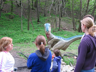 ZOO 2006