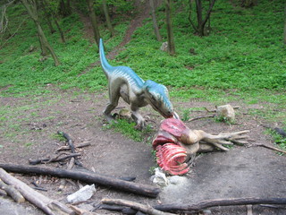 ZOO 2006