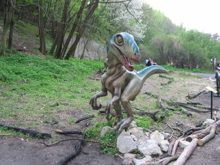 ZOO 2006