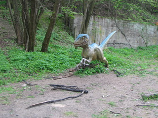 ZOO 2006