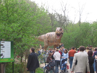 ZOO 2006