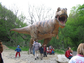 ZOO 2006