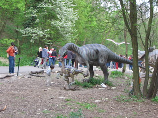 ZOO 2006